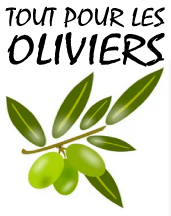 TOUT POUR LES OLIVIERS